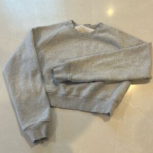 Aritzia TNA Cozy Crop Sweatshirt
